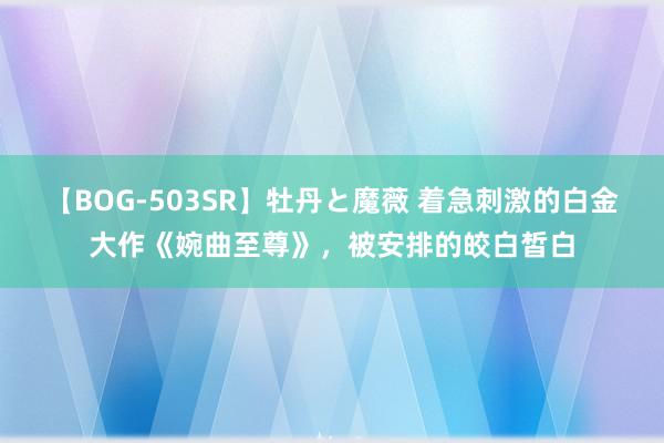【BOG-503SR】牡丹と魔薇 着急刺激的白金大作《婉曲至尊》，被安排的皎白皙白