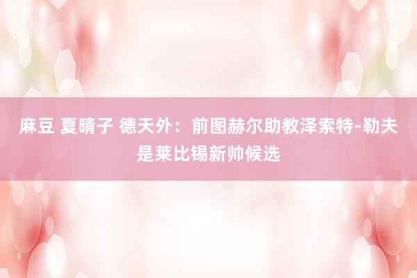 麻豆 夏晴子 德天外：前图赫尔助教泽索特-勒夫是莱比锡新帅候选