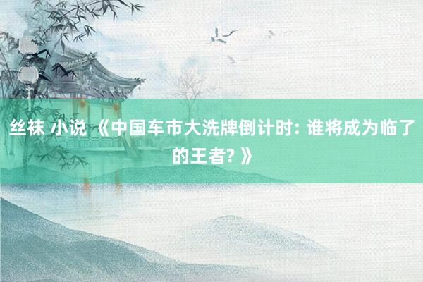 丝袜 小说 《中国车市大洗牌倒计时: 谁将成为临了的王者? 》
