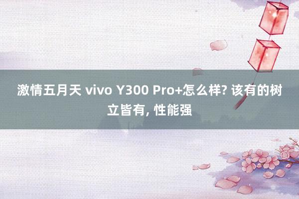 激情五月天 vivo Y300 Pro+怎么样? 该有的树立皆有, 性能强