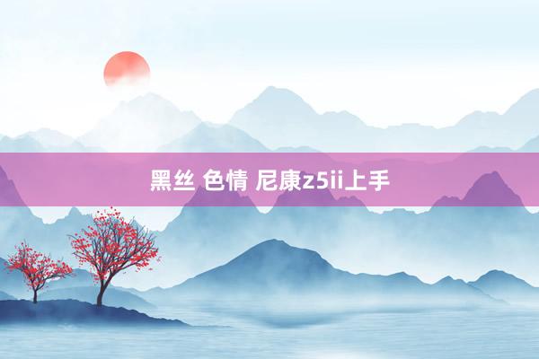 黑丝 色情 尼康z5ii上手