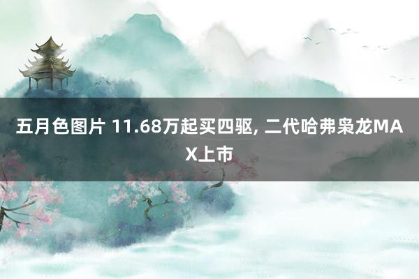五月色图片 11.68万起买四驱, 二代哈弗枭龙MAX上市