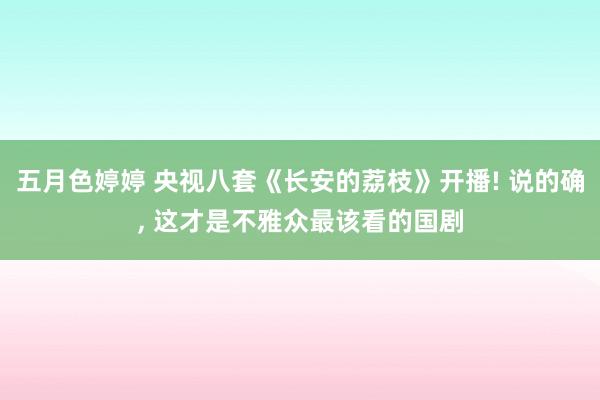 五月色婷婷 央视八套《长安的荔枝》开播! 说的确, 这才是不雅众最该看的国剧